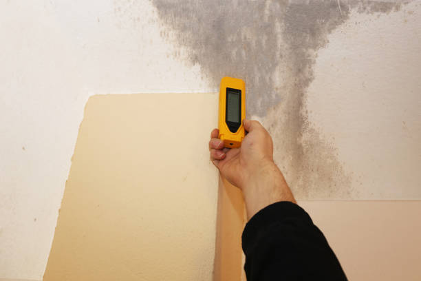 Best Asbestos and Lead Testing During Mold Inspection  in Bend, OR