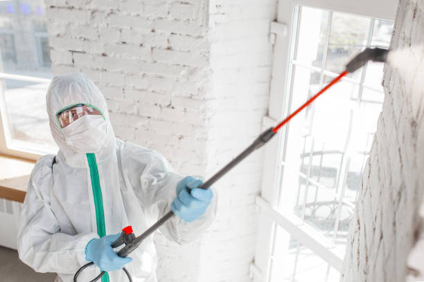 Best Mold Removal for HVAC Installations  in Bend, OR