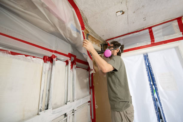 Best Biohazard Mold Removal  in Bend, OR