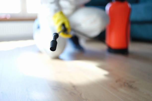 Best Mold Damage Restoration  in Bend, OR