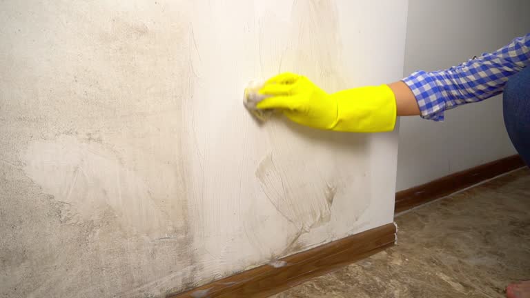 Mold Odor Removal Services in Bend, OR