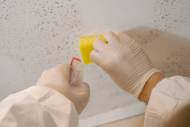 Best Commercial Mold Inspection  in Bend, OR