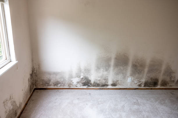 Best Mold Prevention Services  in Bend, OR