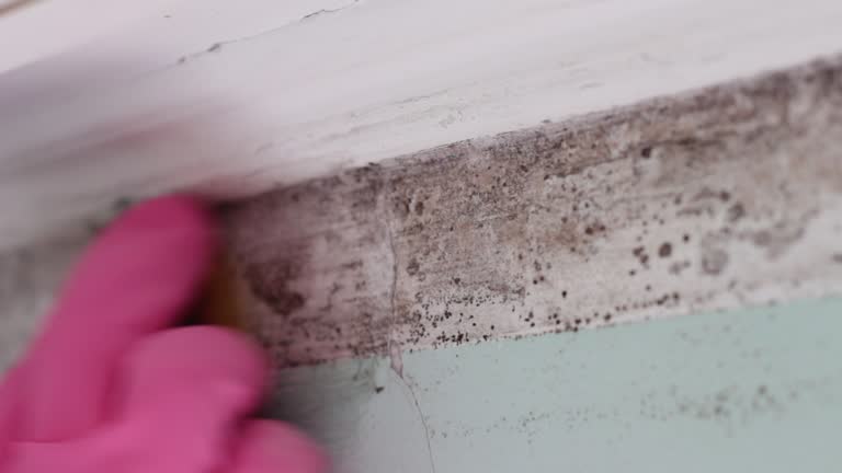 Best Mold Odor Removal Services  in Bend, OR